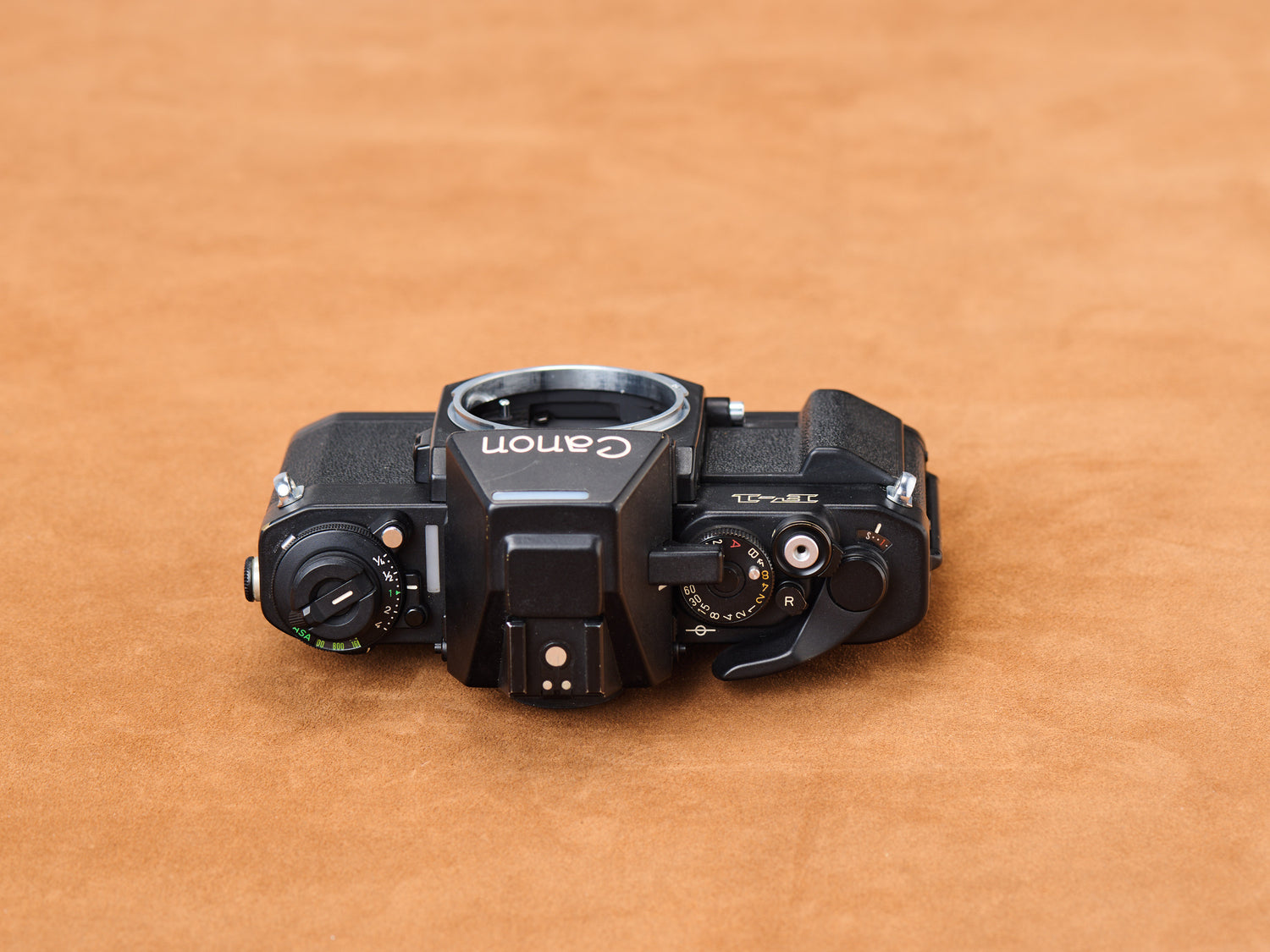 Canon F-1, black and hungry on suede. Shutter dial murmurs, film lever slides shhh. Silver winks in low light. Every curve hums, mechanism breathes. Slow tension.