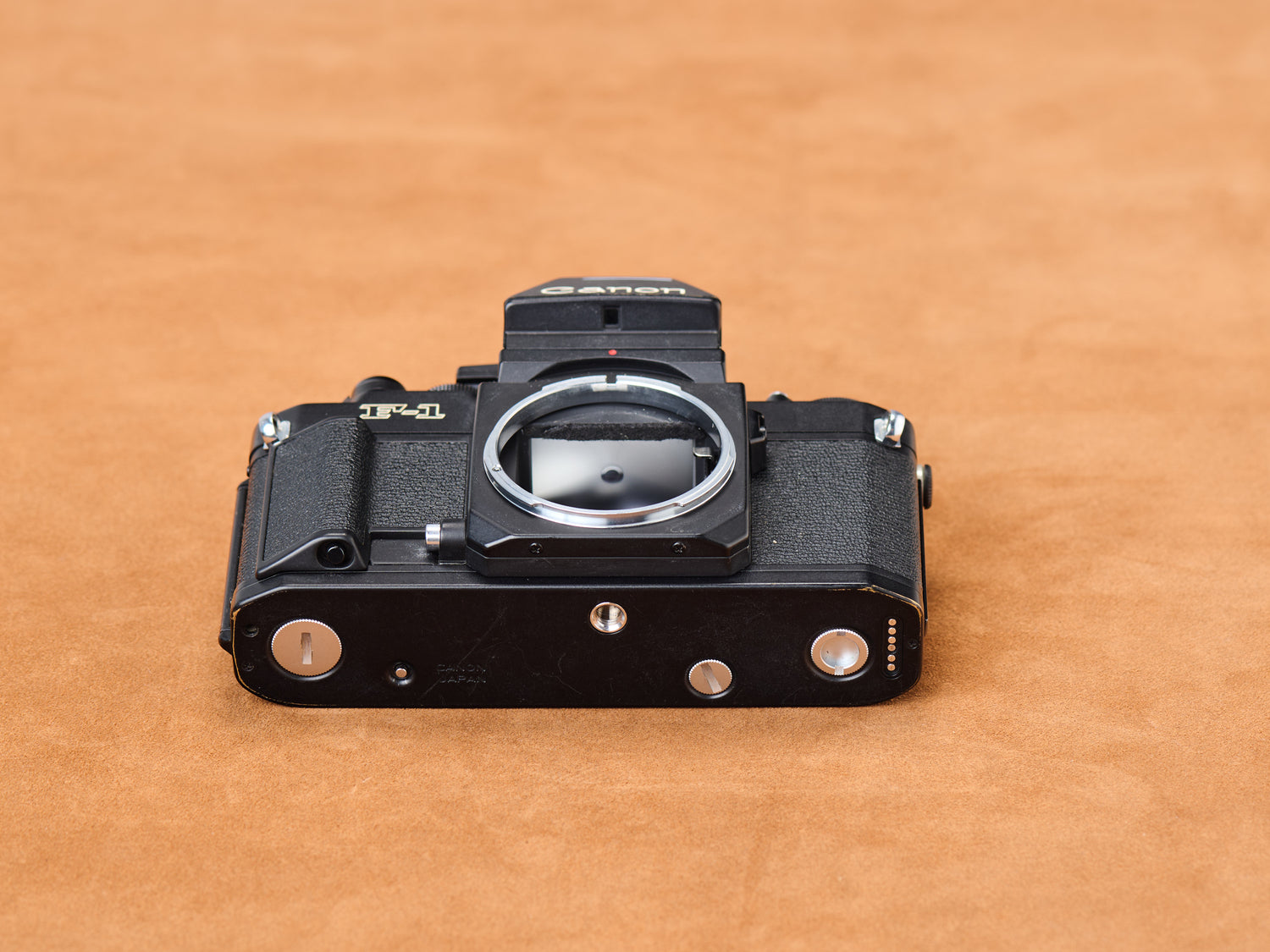 Canon new F-1 baseplate, obsidian underside glinting. Tiny scratches whisper secrets. Battery cover slides with sultry precision. Cold metal, intimate touch. Listen close.